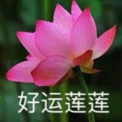 无尽晚霞不见君测试版下载